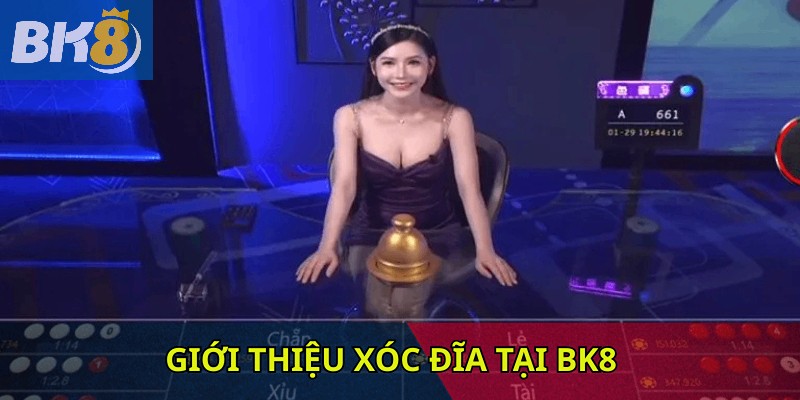 Giới thiệu xóc đĩa tại BK8